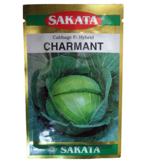 Cabbage / Patta Gobi Charmant 10 grams